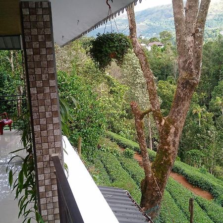 Green Tea View Munnar Bagian luar foto