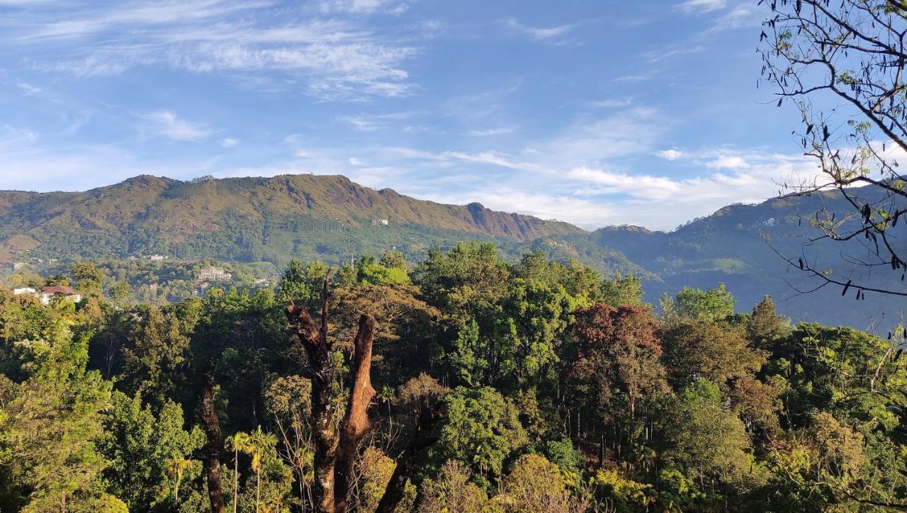 Green Tea View Munnar Bagian luar foto