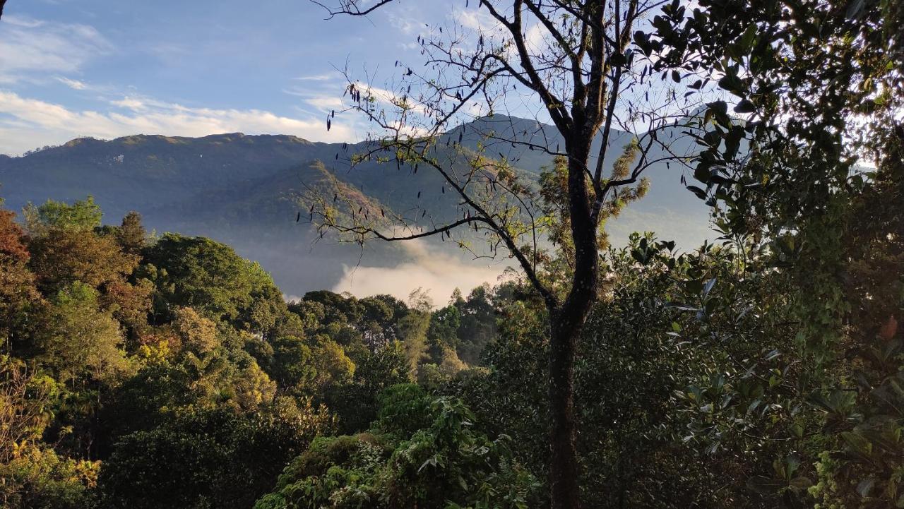 Green Tea View Munnar Bagian luar foto