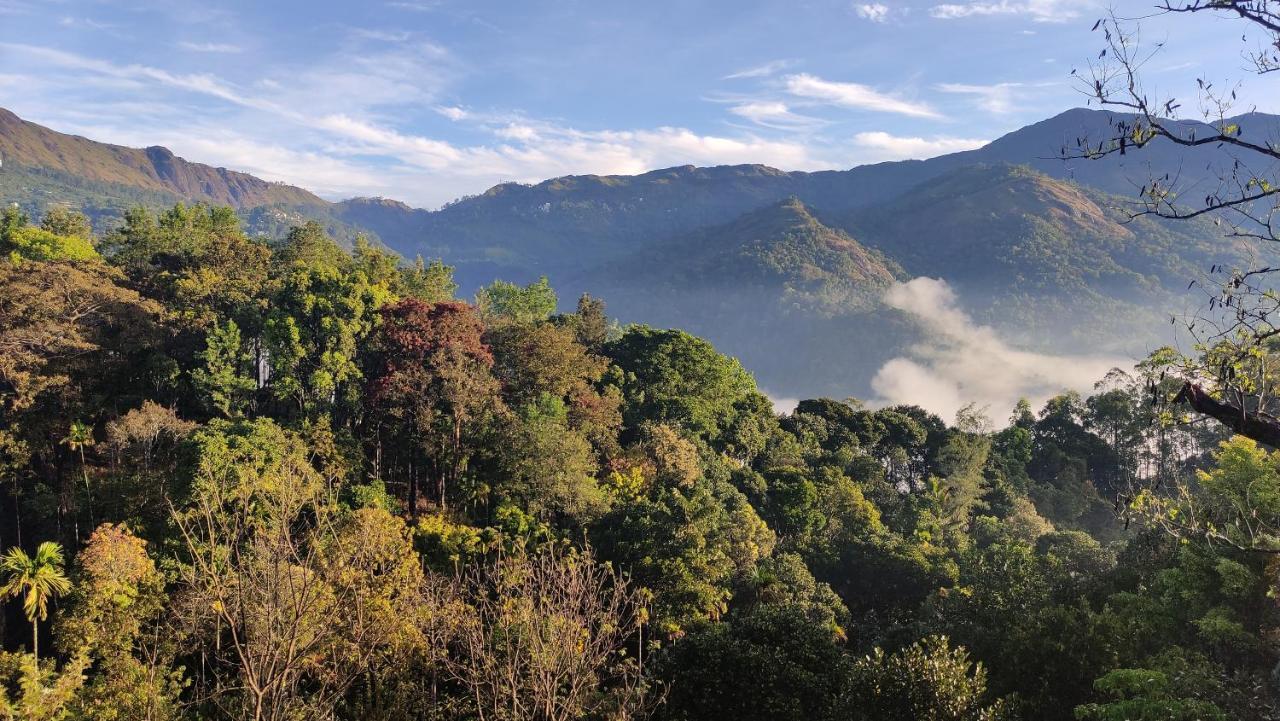 Green Tea View Munnar Bagian luar foto